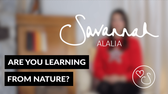 [SAB80] Are you learning from nature - IMG